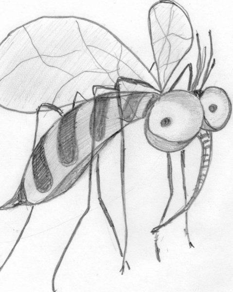 Веселая Муха