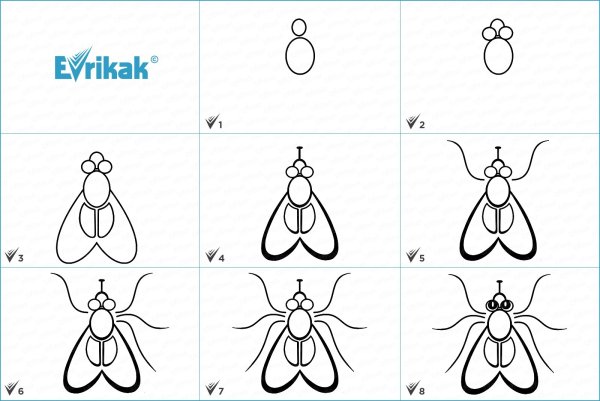 Нарисовать муху поэтапно