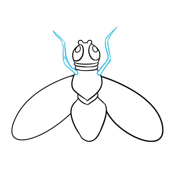 Муха раскраска