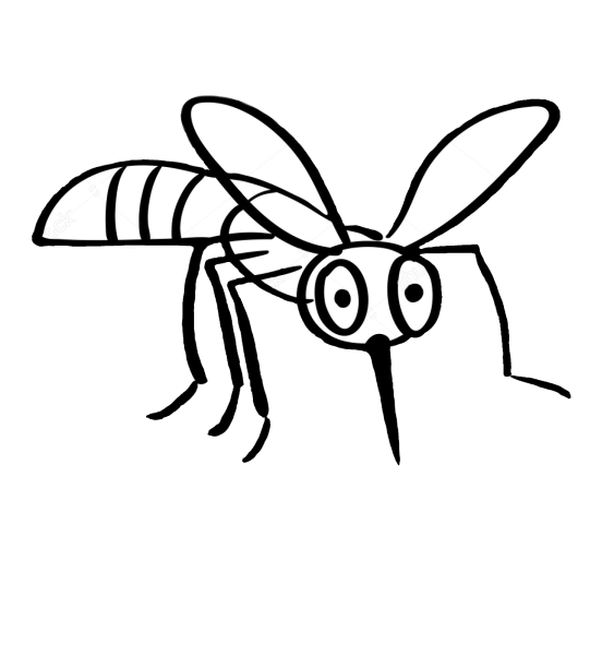 Профессиональный рисунок мухи карандашом
