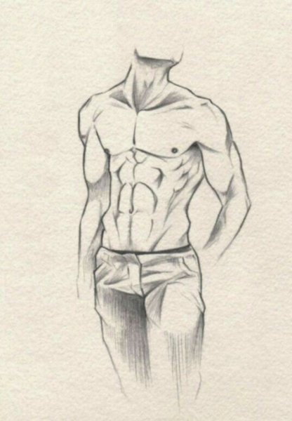 Торс зарисовки