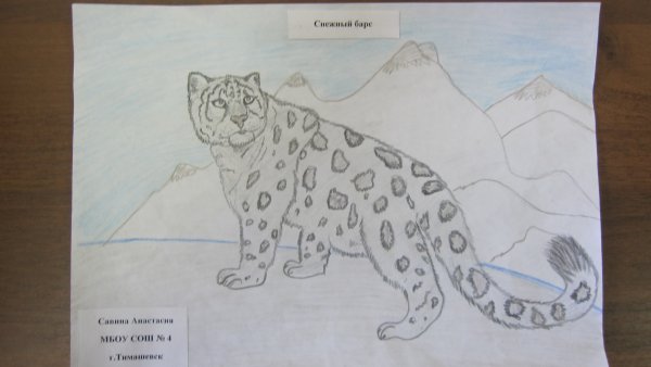 Рисунок снежный Барс из красной книги