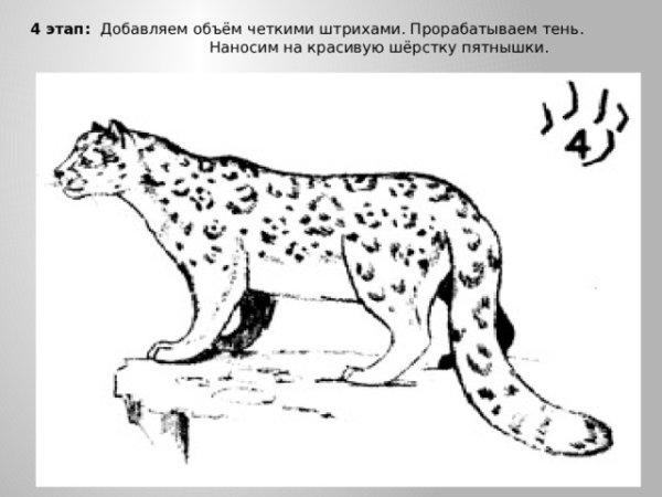 Нарисовать снежного Барса 2 класс