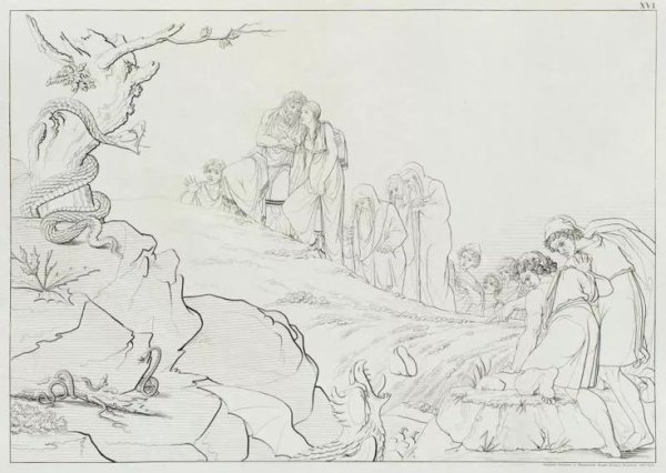 Подвиг Геракла немейский Лев раскраска