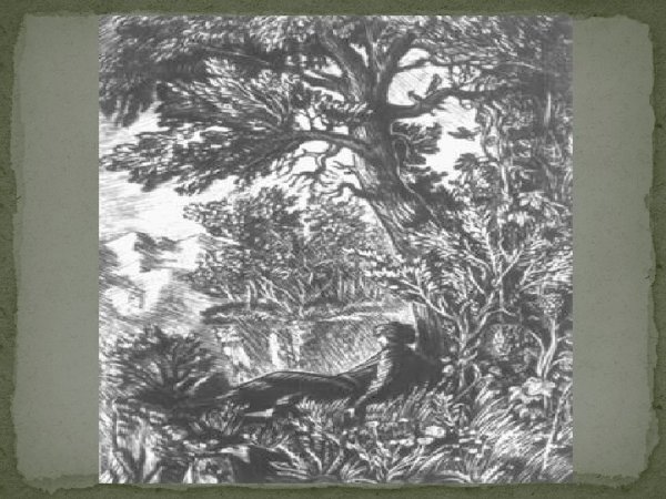 Рисунок к Мцыри Лермонтова