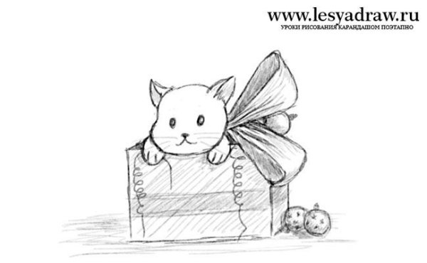 Котики карандашом в коробке