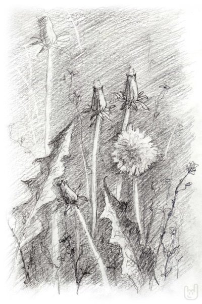 Техника рисования ластиком