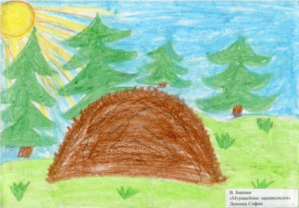 Муравейник рисунок