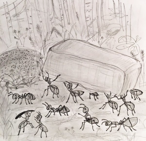 Раскраска Муравейник с муравьями