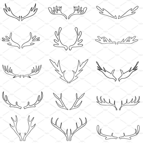 Рога оленя раскраска