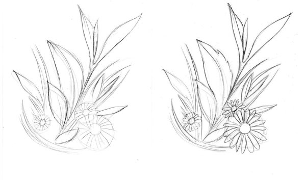 Рисунки полевых цветов карандашом для срисовки