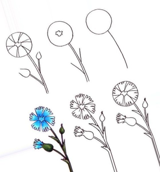 Урок рисование для детей одуванчик