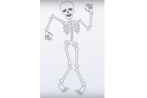 Скелет рисунок