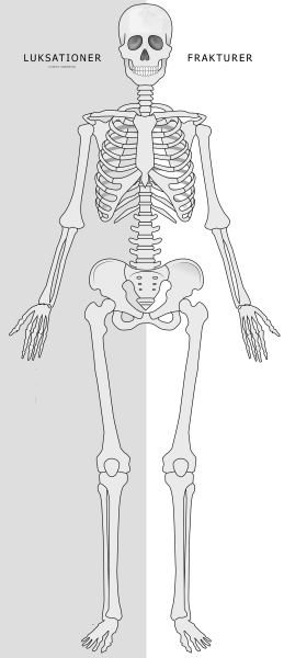 Скелет рисунок карандашом