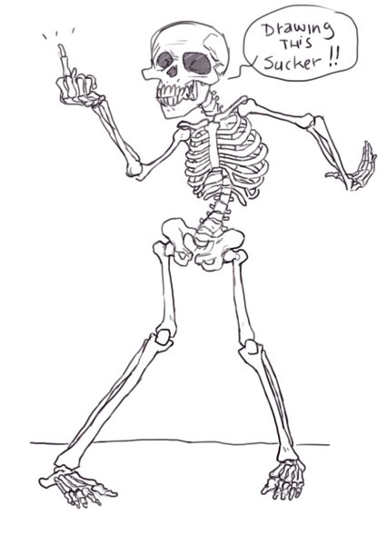 Скелет человека нарисо