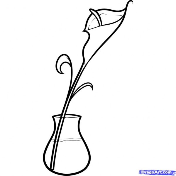 Натюрморт простым карандашом