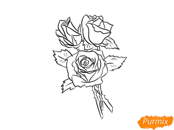 Букет роз рисунок карандашом