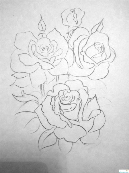Красивые розы букет карандашом