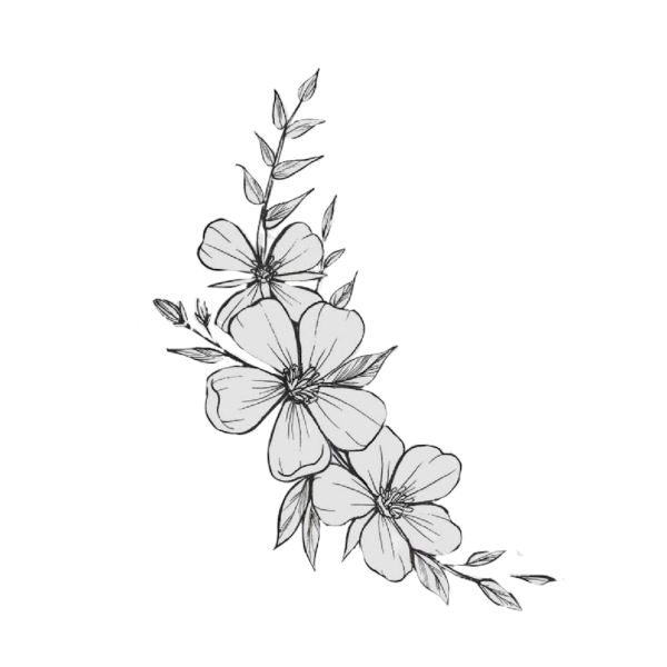 Цветы эскиз