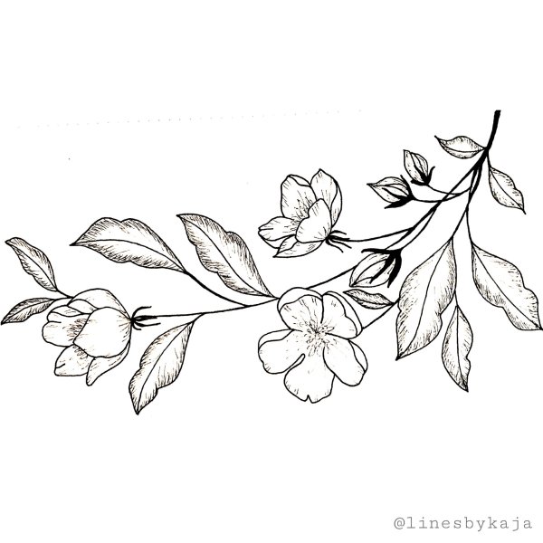 Эскиз веточка с цветами