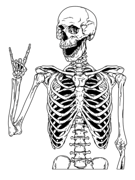 Скелет человека Баммес