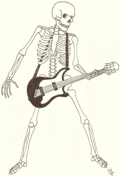 Скелет рисунок