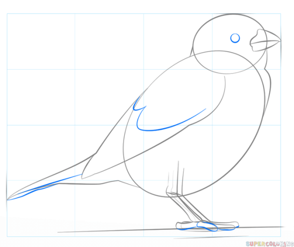 Воробей пошаговое рисование