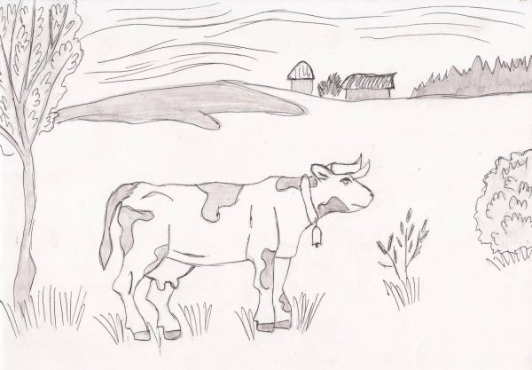 Рисунок Иван Царевич и Царевна лягушка