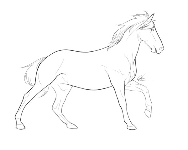 Рисунки лошадей легкие