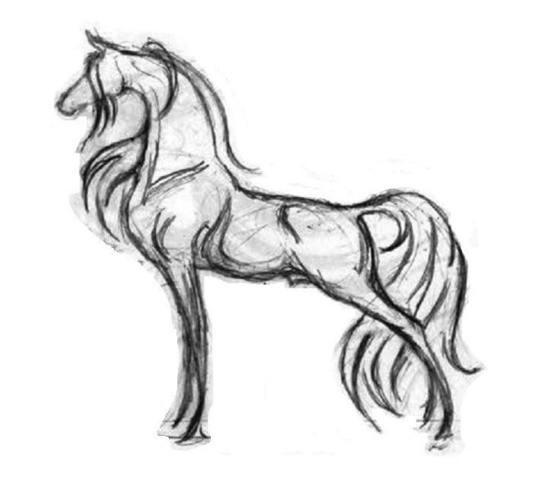 Лошадь для срисовки