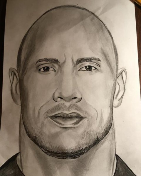 Дуэйн скала Джонсон рисунок