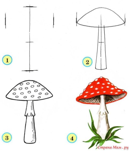 Мухомор рисунок для детей карандашом