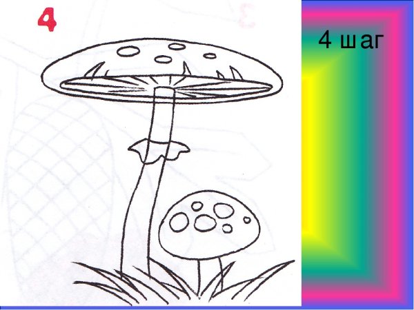 Гриб раскраска