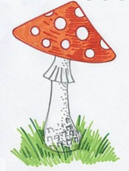 Гриб пошаговое рисование