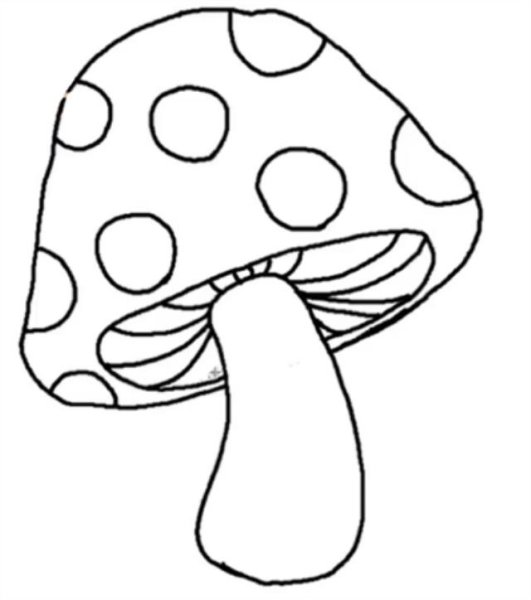Набросок мухомора