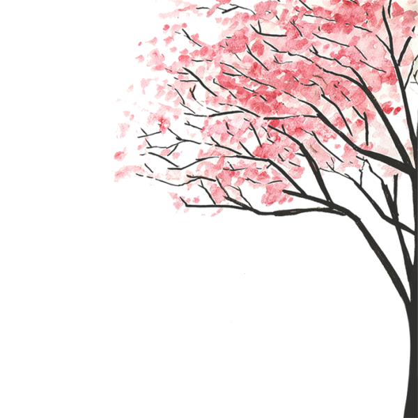 Дерево Сакура карандашом