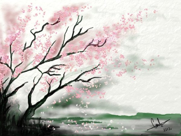 Рисование Сакуры