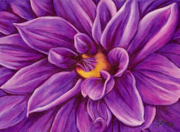 Фиолетовые цветы карандашом