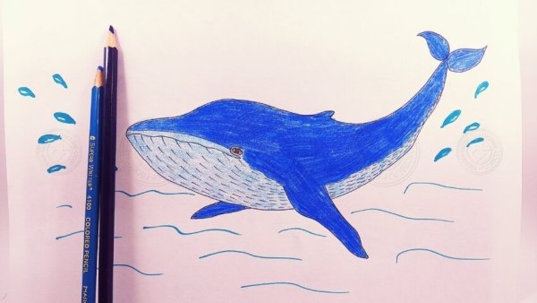 Уроки рисования кита