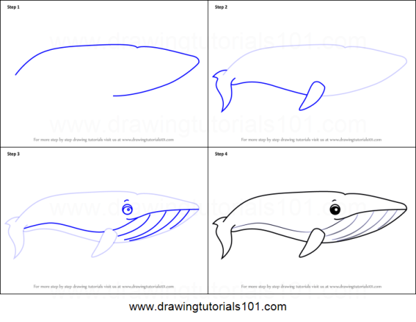 Нарисовать кита пошагово