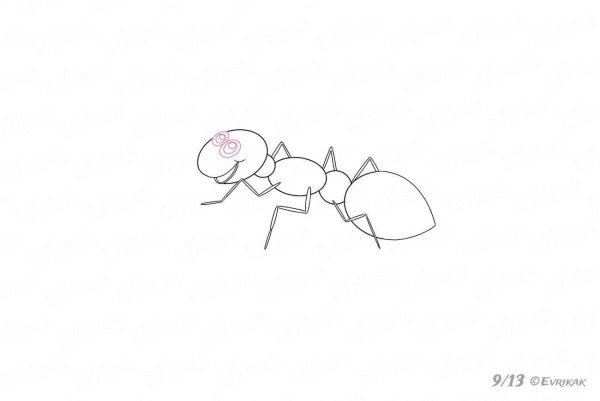 Муравей детский рисунок