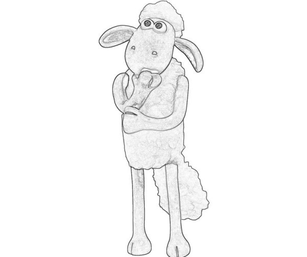 Барашек Шон