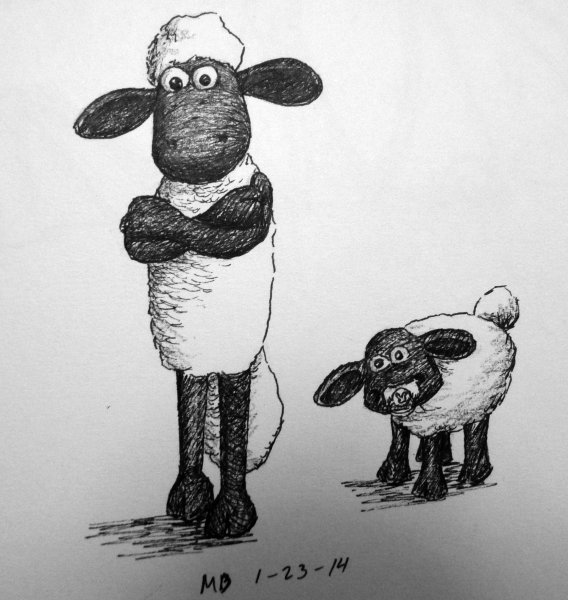 Раскраски барашек Тимми