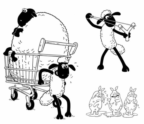 Барашек Шон