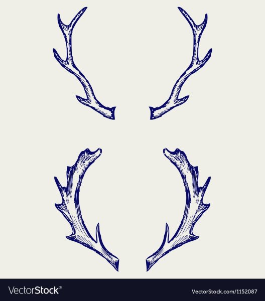 Рога оленя легко