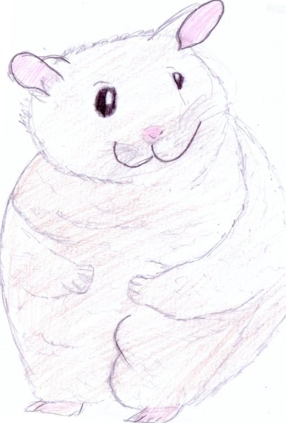 Хомяк рисунок для срисовки легкие