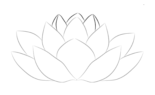 Как нарисовать Лотос карандашом