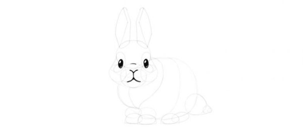 Мордочка зайца карандашом