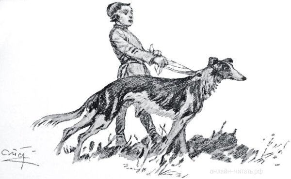 Иллюстрации к произведениям Толстого