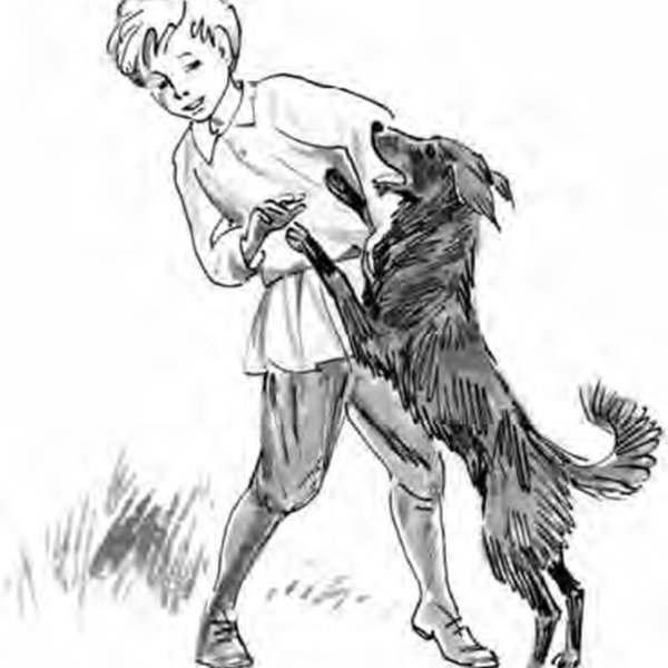 Гарин-Михайловский детство тёмы иллюстрации